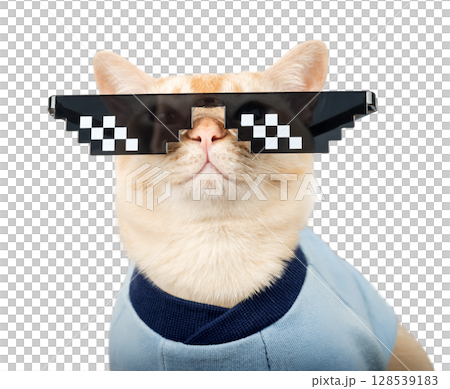Burmese cat wearing pixelated glasses and a blue T-shirt. 128539183