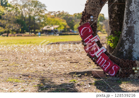 フラワーパーク江南のクリスマス〈愛知県江南市〉 フラワーパーク江南のクリスマス〈愛知県江南市〉 128539216