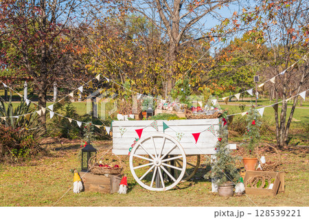 フラワーパーク江南のクリスマス〈愛知県江南市〉 フラワーパーク江南のクリスマス〈愛知県江南市〉 128539221