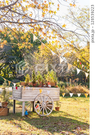 フラワーパーク江南のクリスマス〈愛知県江南市〉 128539223