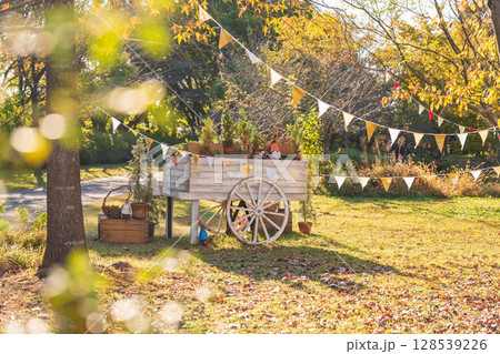 フラワーパーク江南のクリスマス〈愛知県江南市〉 128539226