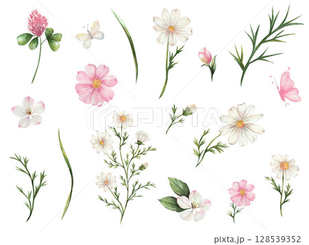 Watercolor set with wildflowers. daisy, cosmos, clover, apple blossoms, pink and white flowers, and butterflies on a white background. Perfect for cards, prints, invitations, and decor. 128539352