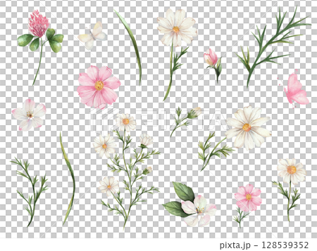 Watercolor set with wildflowers. daisy, cosmos, clover, apple blossoms, pink and white flowers, and butterflies on a white background. Perfect for cards, prints, invitations, and decor. 128539352