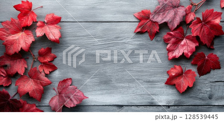 Vibrant Autumn Leaves on Concrete Background 128539445