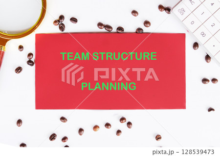 Conceptual text, phrase, words Team Structure Planning The concept of development and business, strategy and growth. A place to copy 128539473