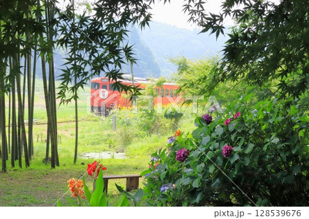小湊鐵道「森林の中の紫陽花と夏風景を走る列車」 128539676