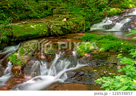 新緑の宇津江四十八滝 128539857