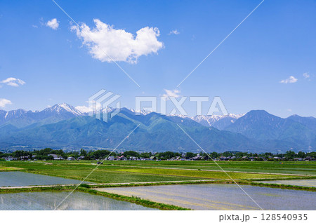 初夏の安曇野　爽やかな田園風景 128540935