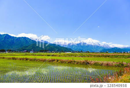 初夏の田園と山岳風景　大町市 128540938