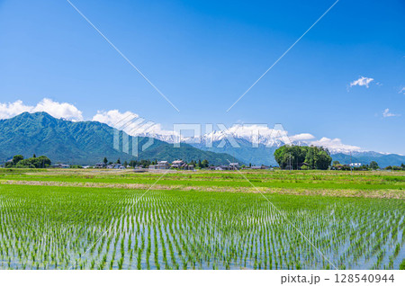 初夏の水田が広がる田園と山岳風景 128540944
