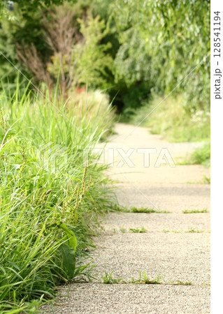 an 道 7月 July 縦 an 道 7月 July 縦 128541194