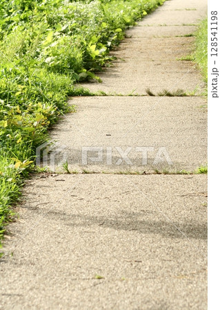 an 道 7月 July 縦 an 道 7月 July 縦 128541198