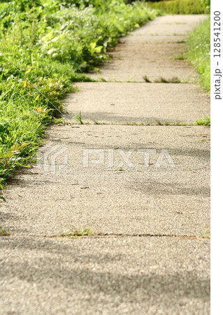 an 道 7月 July 縦 128541200