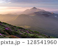 朝焼けの高千穂の峰とミヤマキリシマ 128541960