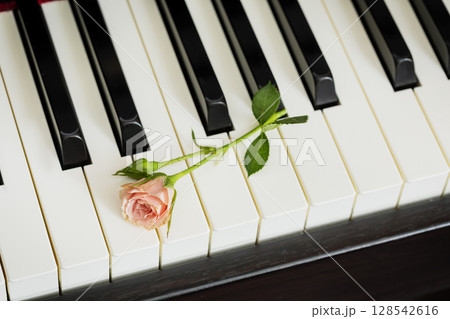 Romantic, holiday music composition with pink rose on piano keyboard. Piano lessons, music education, concert or hobby card. Dating or love concept. Mothers day, womans day, birthday or valentines day 128542616
