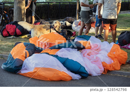 Paragliding group on grass with dog. Paragliders gather on grass with gear , golden retriever resting near colorful parachutes. Concept of paraglider community, shared passion, casual outdoor routine 128542798