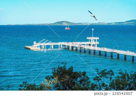 Pier and sea with flying bird. Long sea pier extends over blue ocean with seagull flying above, ship on horizon. Concept of freedom, summer escape, seaside vacation Pier and sea with flying bird. Long sea pier extends over blue ocean with seagull flying above, ship on horizon. Concept of freedom, summer escape, seaside vacation 128542807
