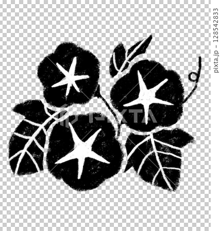 Simple morning glory illustration, crayon touch, monochrome 128542833