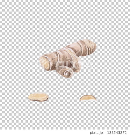 Ginger root and sliced pieces. Isolated watercolor illustration in realistic style for design of cookbooks, drinks, teas, tea card, printing on postcards, fabric and textiles. 128543272