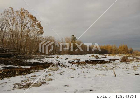 2016年8月30日大型台風本州を縦断し北海道十勝清水の開梱地の傷跡 10週間後4 128543851