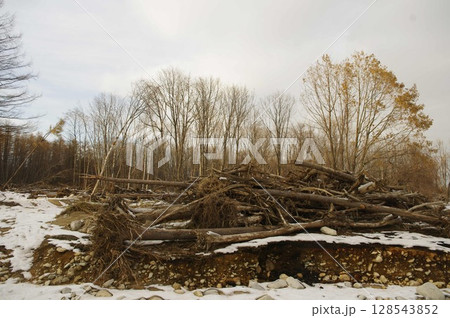 2016年8月30日大型台風本州を縦断し北海道十勝清水の開梱地の傷跡 10週間後5 128543852