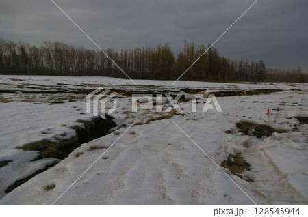 2016年8月30日大型台風本州を縦断し北海道十勝清水の開梱地の傷跡 10週間後12 128543944