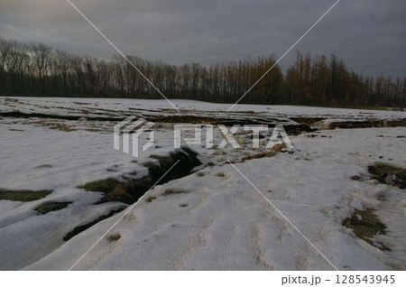 2016年8月30日大型台風本州を縦断し北海道十勝清水の開梱地の傷跡 10週間後13 128543945