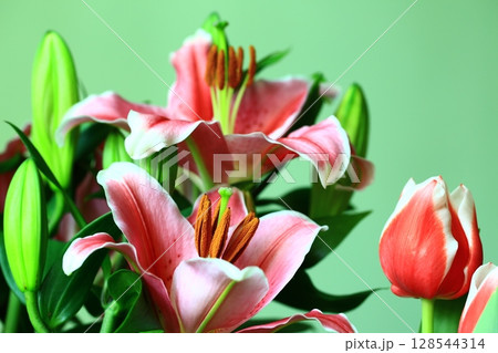 ゆり スカシユリ 透百合 128544314