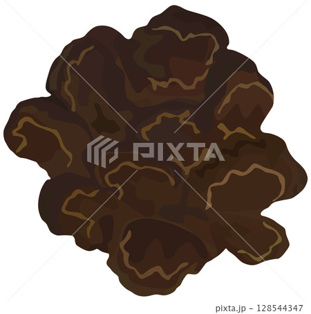 キクラゲのイラスト ベクター素材 128544347