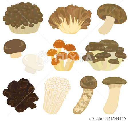 きのこのイラストセット ベクター素材 128544349