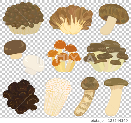 きのこのイラストセット ベクター素材 128544349