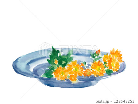ガラス皿に盛りつけたキンセンカの手描きイラスト【手描き】白バック 切り抜き 用コピースペースあり 128545253