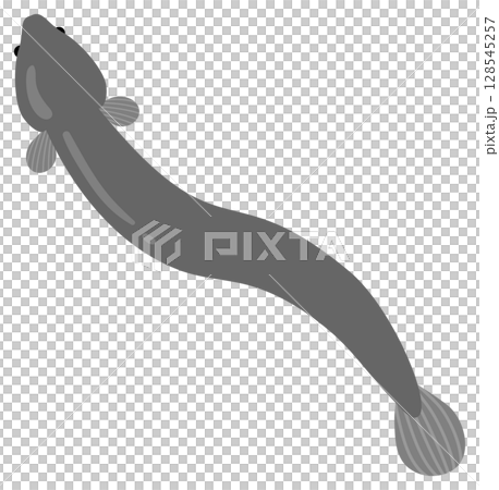 鰻魚插畫素材 128545257