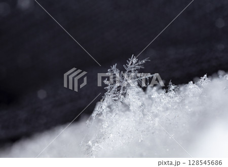 Macro snowflakes showing intricate winter details on dark background Macro snowflakes showing intricate winter details on dark background 128545686