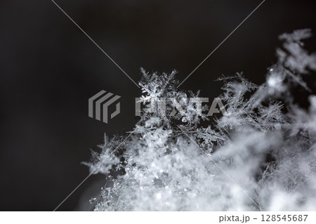 Macro snowflakes showing intricate winter details on dark background Macro snowflakes showing intricate winter details on dark background 128545687
