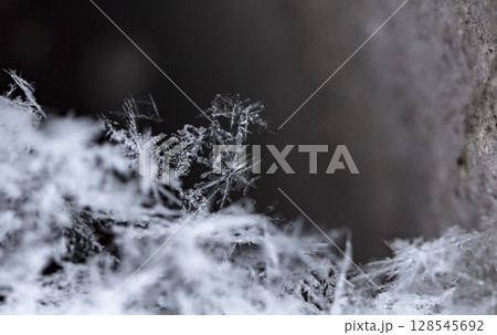 Macro snowflakes showing intricate winter details on dark background Macro snowflakes showing intricate winter details on dark background 128545692