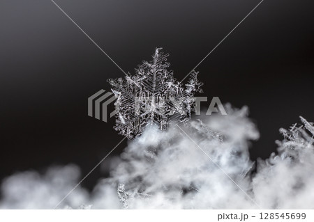 Macro snowflakes showing intricate winter details on dark background Macro snowflakes showing intricate winter details on dark background 128545699