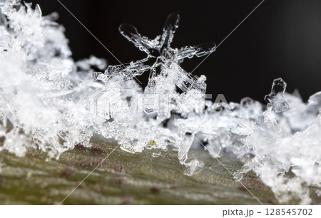 Macro snowflakes showing intricate winter details on dark background 128545702