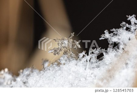 Macro snowflakes showing intricate winter details on dark background Macro snowflakes showing intricate winter details on dark background 128545703