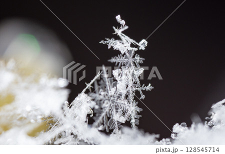 Macro snowflakes showing intricate winter details on dark background 128545714