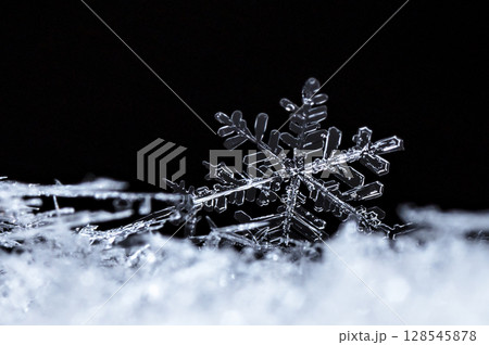 snowflakes, winter card, crystals of snow snowflakes, winter card, crystals of snow 128545878