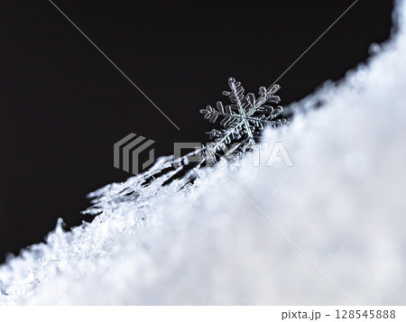 snowflakes, winter card, crystals of snow snowflakes, winter card, crystals of snow 128545888