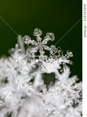 snowflakes, winter card, crystals of snow snowflakes, winter card, crystals of snow 128545899