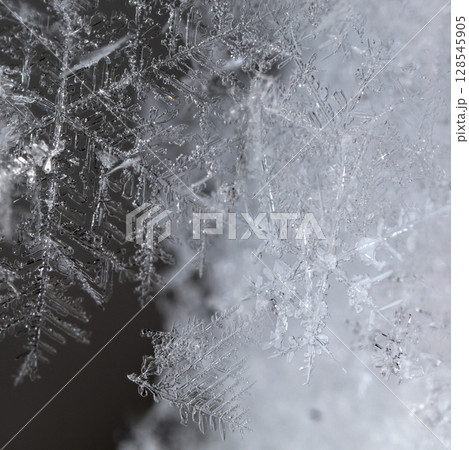 snowflakes, winter card, crystals of snow snowflakes, winter card, crystals of snow 128545905