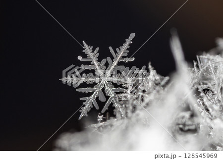snowflakes, winter card, crystals of snow 128545969