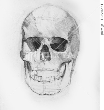 still life, pencil drawing illustration, sketch 128546441
