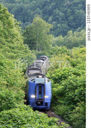 夏草のジャングルを抜ける特急サロベツ 特急サロベツ 宗谷本線 夏草のジャングルを抜ける特急サロベツ 特急サロベツ 宗谷本線 128546869