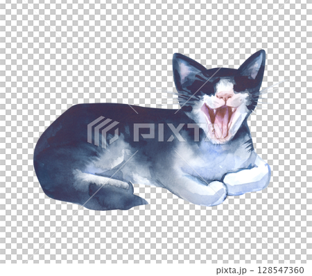 Watercolor yawning black and white cat in a relaxed pose, hand-drawn. Watercolor illustration isolated on a white background. Clipart. Watercolor yawning black and white cat in a relaxed pose, hand-drawn. Watercolor illustration isolated on a white background. Clipart. 128547360