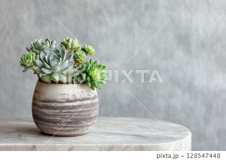 Succulent plants arranged in rustic ceramic pot Succulent plants arranged in rustic ceramic pot 128547448