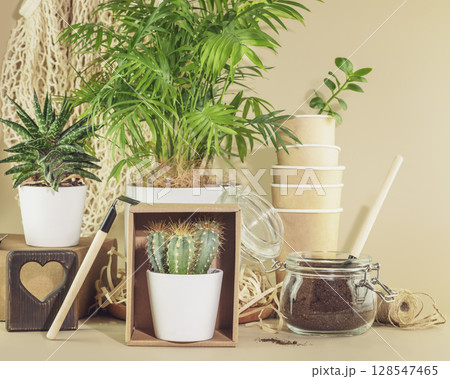 Sustainable home still life with potted plants, succulents and garden accessories on wooden shelf on white background. Eco friendly interior. Home gardening, hobby, relaxing and me time concept Sustainable home still life with potted plants, succulents and garden accessories on wooden shelf on white background. Eco friendly interior. Home gardening, hobby, relaxing and me time concept 128547465